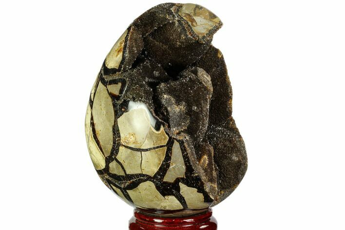 Septarian Dragon Egg Geode - Black Crystals #110876